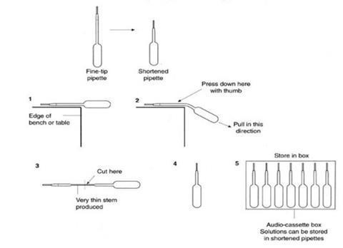 A diagram illustrating how to use the edge of a table to prepare a shortened pipette