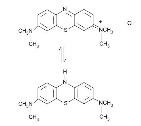 The oxidised and reduced forms of methylene blue