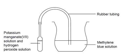 Full apparatus diagram