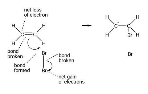 Reaction mechanism 1 revealed