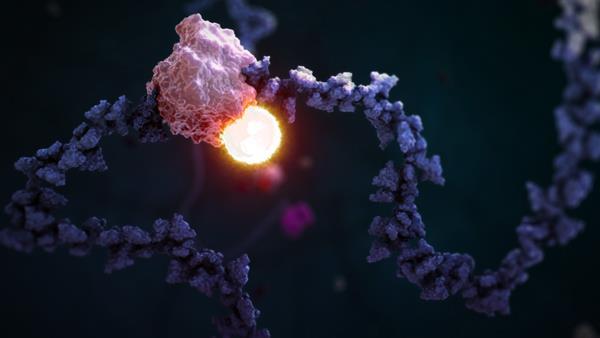 Designing cancer drugs | Feature | RSC Education