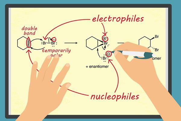 how-to-help-students-identify-electrophiles-and-nucleophiles-news