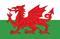 The flag of Wales, featuring a red dragon against a white and green background