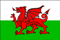 The flag of Wales, featuring a red dragon against a white and green background