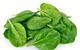 Picture of fresh spinach leaves