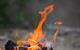 A photograph of a wood fire outside, with an orange flame rising above charred, black-grey logs
