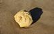A lump of yellowy ambergris on wet, coarse sand; the ambergris is casting a small shadow