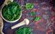 Spinach in a mortar with pestle on side