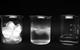 picture of 3 beakers showing, ice cubes, partly melted ice cubes and water